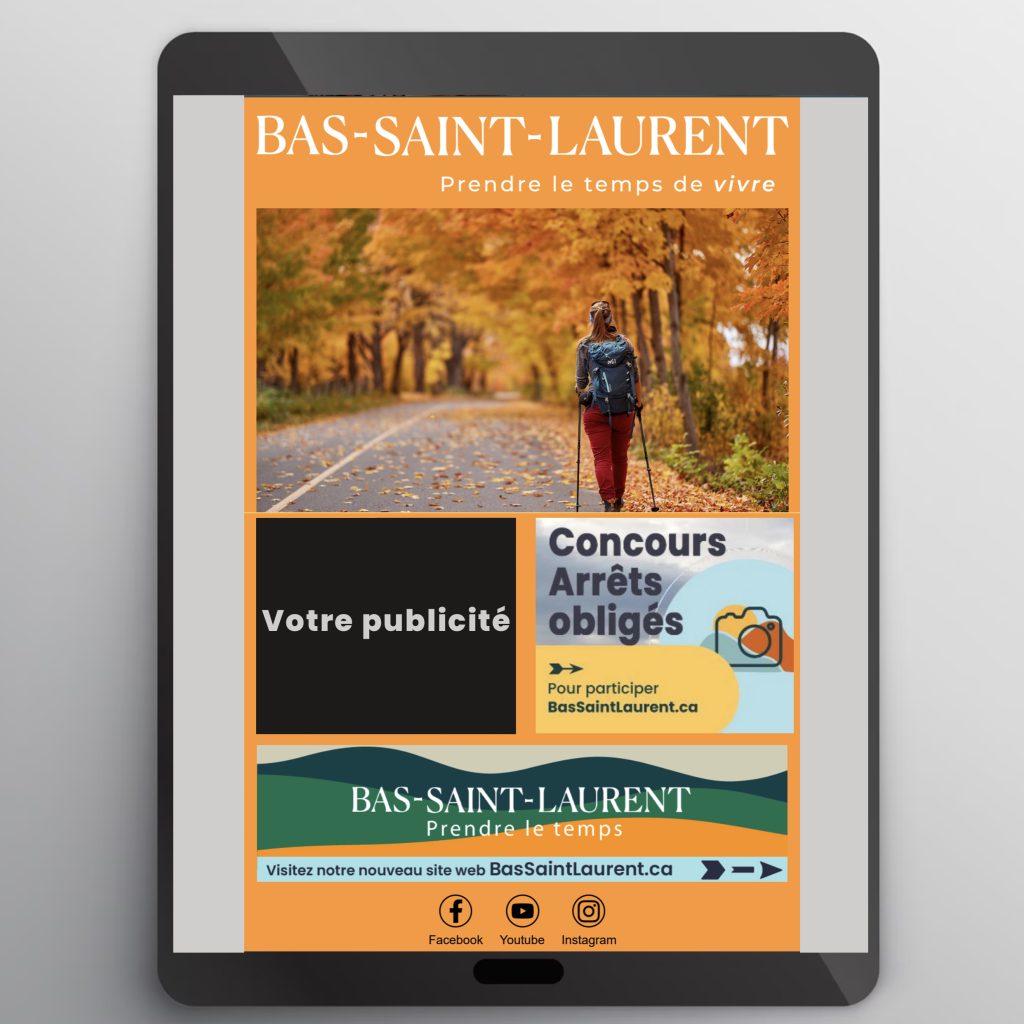 Bannière infolettre Bas-Saint-Laurent
